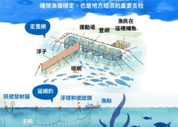 來自台灣東部海洋的健康首選 鮮味飛虎-鬼頭刀