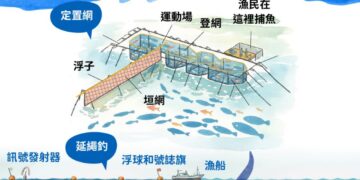 來自台灣東部海洋的健康首選　鮮味飛虎-鬼頭刀