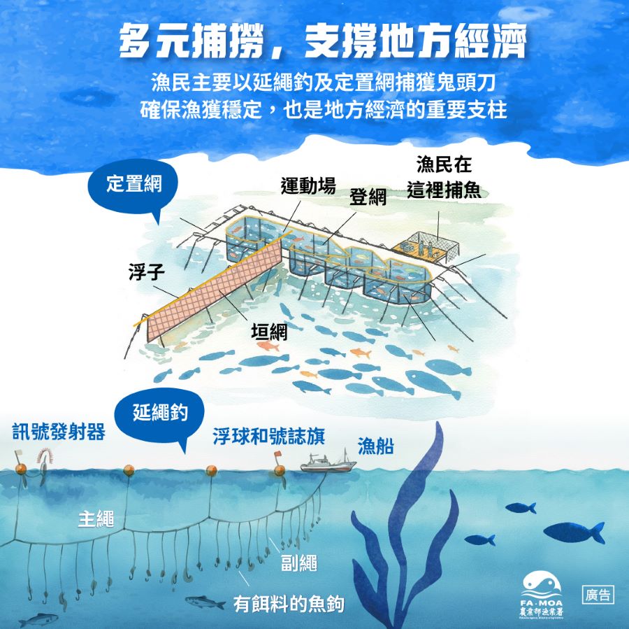 臺灣東部沿岸進入鬼頭刀的盛產季節，漁民以延繩釣及定置網等方式捕獲，臺東縣成功鎮新港漁港更是重要產地之一，是當地經濟的重要支柱魚種。(圖/農業部漁業署)