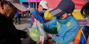 林岱樺攜手林園東興宮 首次發放2,000顆高麗菜 助農民也為弱勢加菜