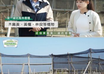 守護台灣海岸線！吳汶芳探訪桃園蘆竹防風林　 見證中華電信植樹成果