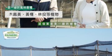 守護台灣海岸線！吳汶芳探訪桃園蘆竹防風林　 見證中華電信植樹成果