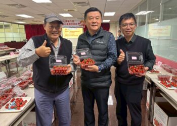 第九屆小果番茄評鑑登場  秀水鄉農會包辦冠亞軍輔導五位農友得獎