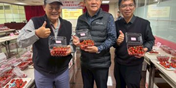 第九屆小果番茄評鑑登場  秀水鄉農會包辦冠亞軍輔導五位農友得獎