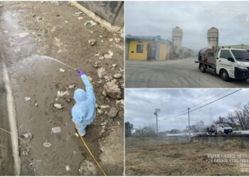 苗栗後龍大排驚見235隻雞屍 採樣檢出H5N1禽流感!