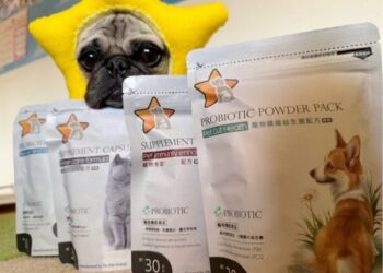 寵星以愛心為初心！周年慶感恩登場　買二送一回饋飼主