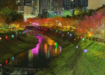 汐止文化櫻花季開跑！2/22 前藝術燈光點亮溪畔     夢幻「溪澗夜櫻」美不勝收