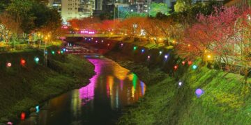 汐止文化櫻花季開跑！2/22 前藝術燈光點亮溪畔     夢幻「溪澗夜櫻」美不勝收