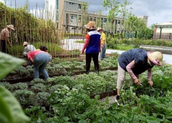 園藝療育落地有成   田尾北曾社區「療育系」公園獲獎
