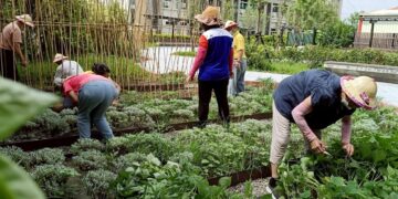 園藝療育落地有成   田尾北曾社區「療育系」公園獲獎