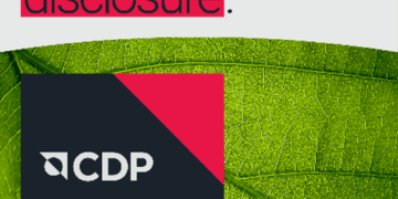 中鋼連續三年榮獲碳揭露專案(CDP)領導等級（A-）佳績