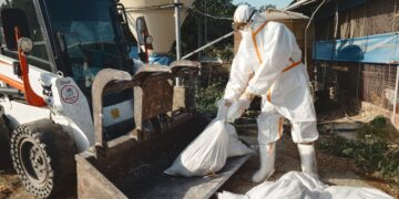 南市蛋中雞場確診禽流感 動保處呼籲養禽業者落實生物安全