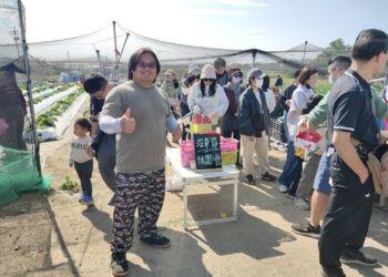 歸仁河堤草莓園首開張 人潮湧現