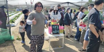 歸仁河堤草莓園首開張 人潮湧現