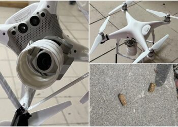 影音/竟用空拍機投毒害死可愛動物 男子遭起訴求重刑