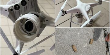 影音/竟用空拍機投毒害死可愛動物 男子遭起訴求重刑