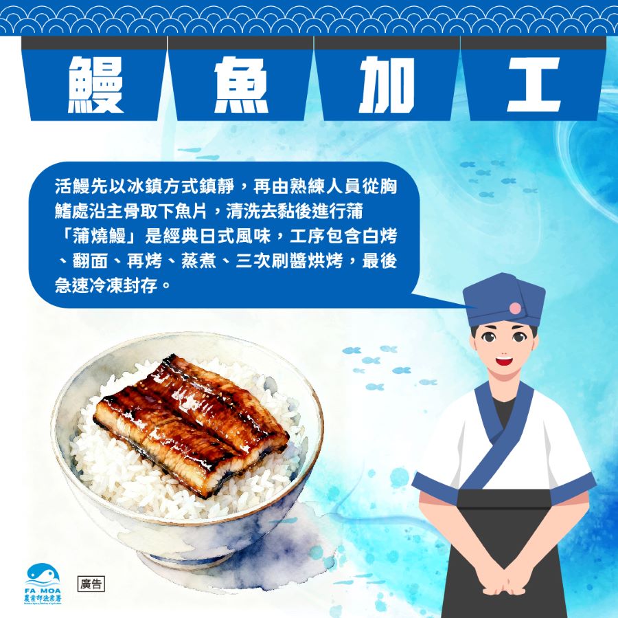 鰻魚加工流程專業繁複，需於水產加工廠中進行。(圖/農業部漁業署)