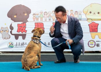 嘉義縣獨創「浪浪就業服務站」 流浪犬轉型好夥伴不再被安置