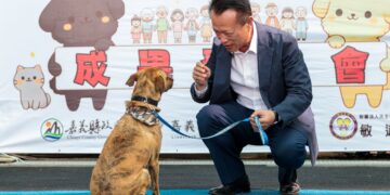 嘉義縣獨創「浪浪就業服務站」 流浪犬轉型好夥伴不再被安置