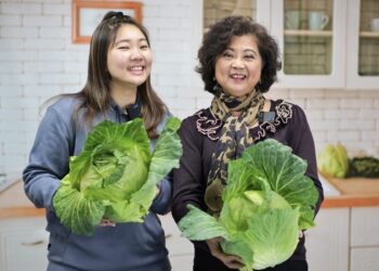 冬天高麗菜最脆甜!新北市府攜手果菜公司推廣 買當季正當時