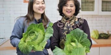 冬天高麗菜最脆甜!新北市府攜手果菜公司推廣 買當季正當時