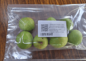 農民免驚　質譜快檢助攻提升產品競爭力