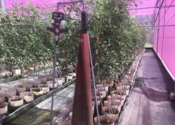 屏縣府呼籲農、牧、漁民注意　做好防寒措施及後續災情通報