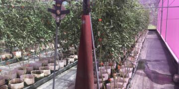 屏縣府呼籲農、牧、漁民注意　做好防寒措施及後續災情通報