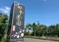 山海雙線療癒之旅!金山萬里慢旅行　走進山海風景吃盡在地風味