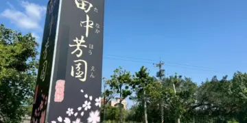 山海雙線療癒之旅!金山萬里慢旅行　走進山海風景吃盡在地風味