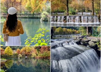 影音/冬日限定夢幻秘境 三層坪農塘美甚！