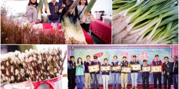 三星青蔥銀柳節熱鬧登場 展現在地農產特色與魅力