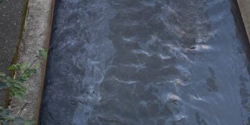 窮追不捨！新北稽查員跨溪溯源     揪出林子溪上游營造廠污染公司田溪元兇