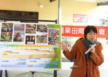 中區農改場微噴霧降溫穩定開花期園區微氣候 枇杷開花結果好收成