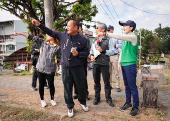 將民怨變改善進度表　林岱樺促黑板樹汰換定案