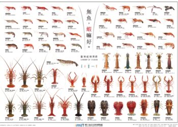 從餐桌美味「無魚,蝦嘛好」認識大海裡的奧秘 國立海洋科技博物館攜手高遠文化推出《臺灣蝦類圖鑑》海報