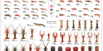 從餐桌美味「無魚，蝦嘛好」認識大海裡的奧秘 國立海洋科技博物館攜手高遠文化推出《臺灣蝦類圖鑑》海報