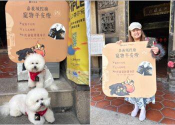 寵物光明燈吸睛場面 城隍廟成新春熱門祈福據點