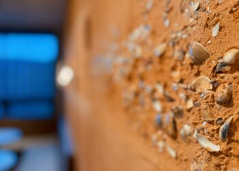 走春首選！十三行「13 CAFÉ」獲 GD 綠裝修黃金級認證     打造全台首座會呼吸的咖啡廳