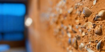 走春首選！十三行「13 CAFÉ」獲 GD 綠裝修黃金級認證     打造全台首座會呼吸的咖啡廳