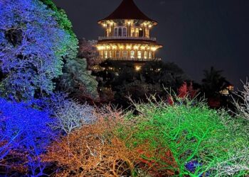 新北2026花見櫻花季｜夜櫻＋幾米互動場景，最適合親子同遊的賞櫻名所