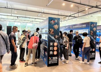 屏東農業物產館化身國際舞台 2026孔雀魚世界盃2月底繽紛競艷
