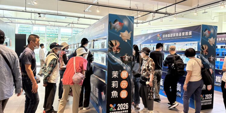 屏東農業物產館化身國際舞台　2026孔雀魚世界盃2月底繽紛競艷
