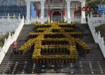 忠烈祠春風送暖迎新歲  10米寬黃雛菊「春」字綻放