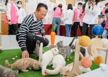 「喵星人命定配對」揭曉　抽出29名幸運鏟屎官