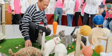 「喵星人命定配對」揭曉　抽出29名幸運鏟屎官