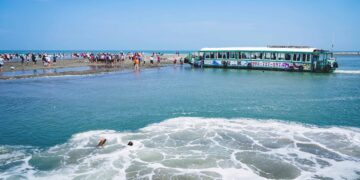 迎春節、賞燈會　嘉義縣28條親子遊程推薦