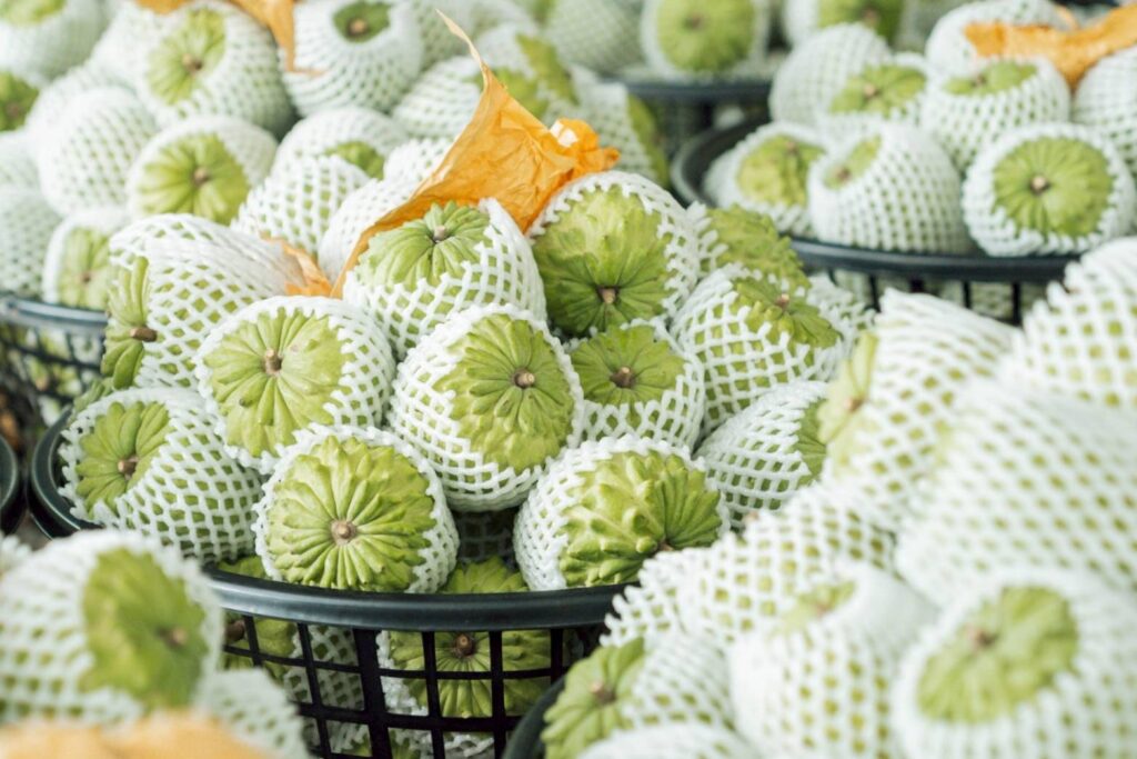 鳳梨釋迦外銷見成效  縣府深耕星國3年銷售突破1.6萬公斤