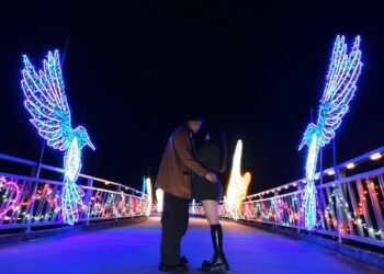 情人節秒進童話！辰光橋「星戀光影」2/14 點亮     11 大光影裝置浪漫登場