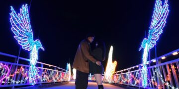 情人節秒進童話！辰光橋「星戀光影」2/14 點亮     11 大光影裝置浪漫登場